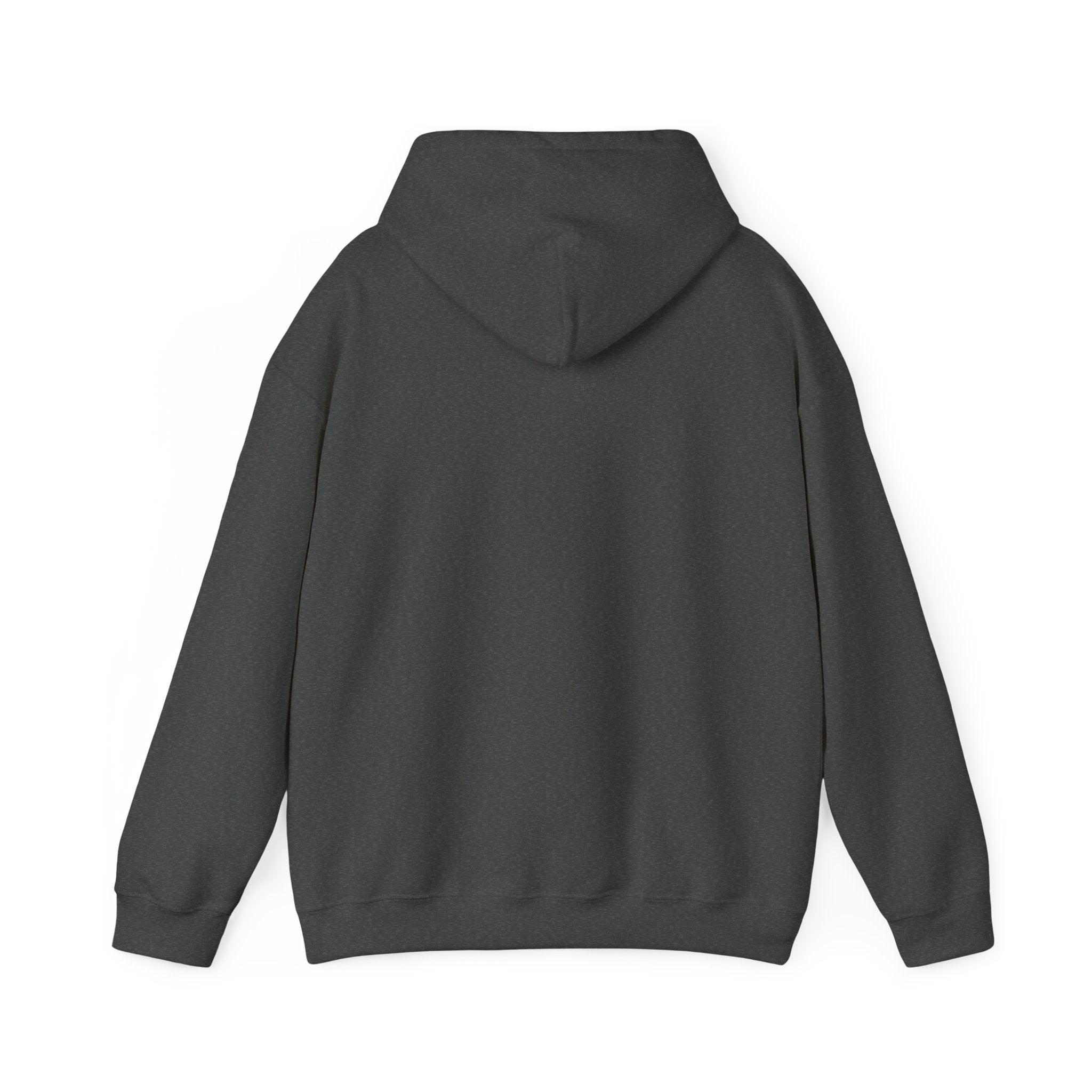 Le Sweat à Capuche Light