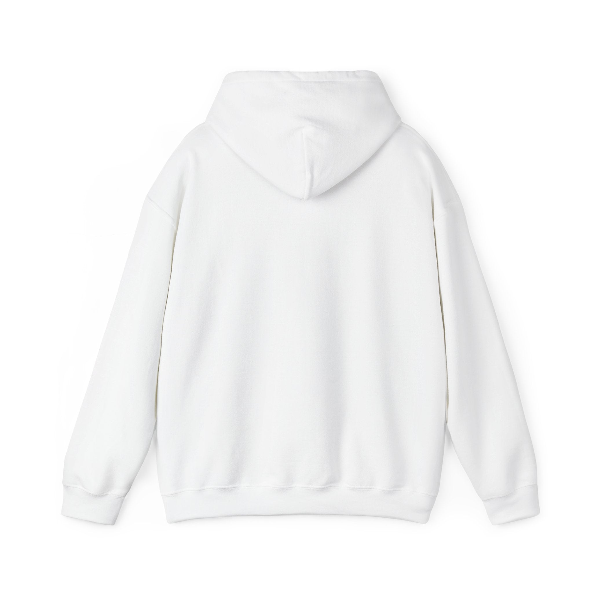 Le Sweat à Capuche Light