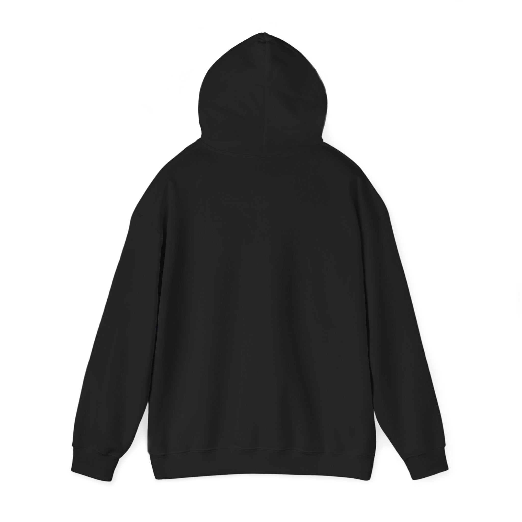 Le Sweat à Capuche Light