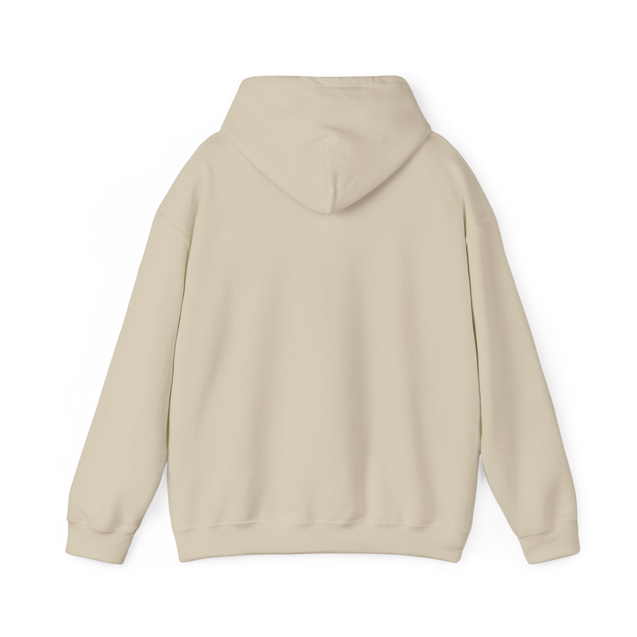 Le Sweat à Capuche Light