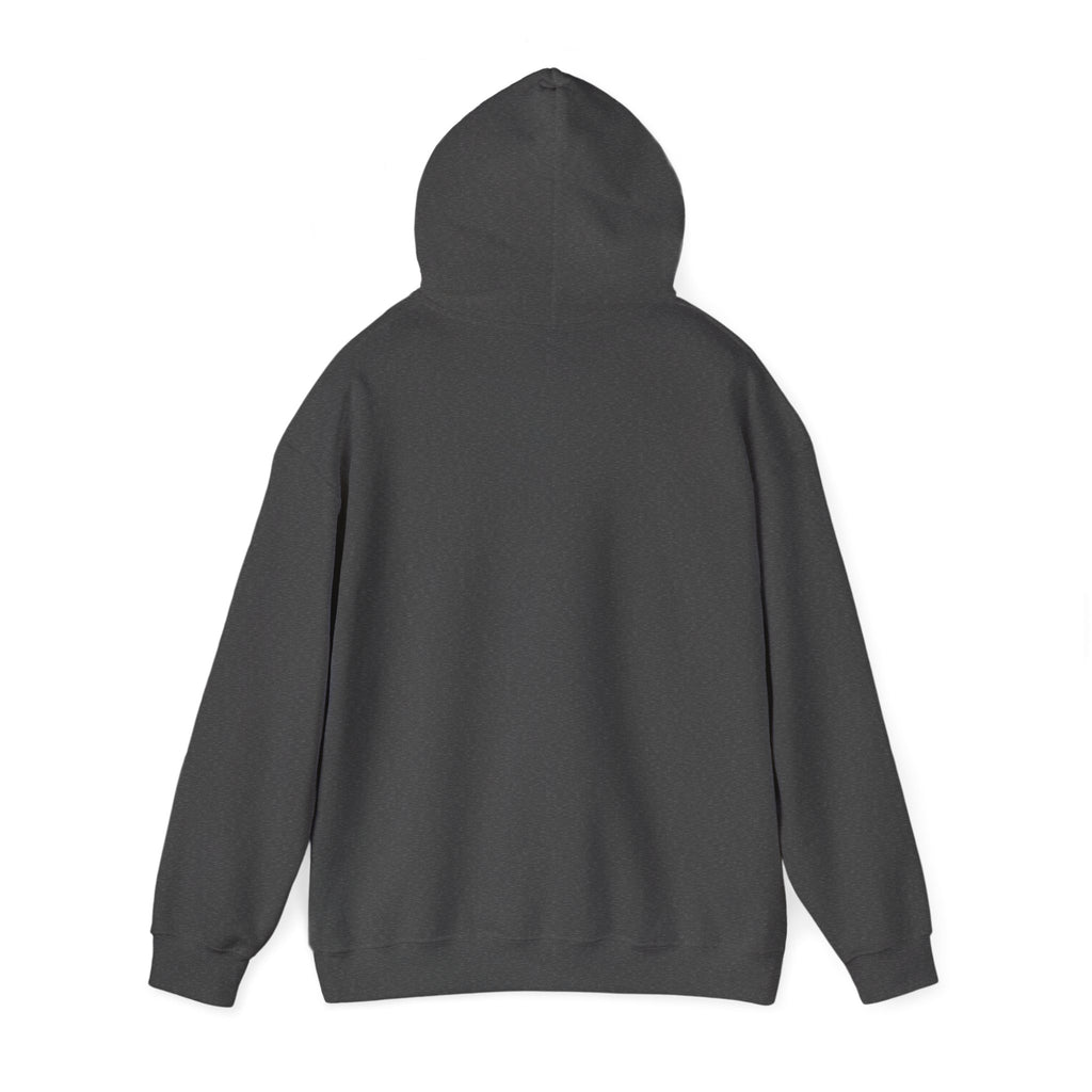 Le Sweat à Capuche Light